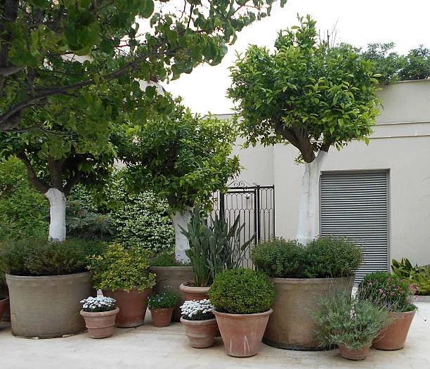 Ландшафтный дизайн