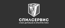 СпилСервис