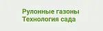 Логотип компании Технология сада