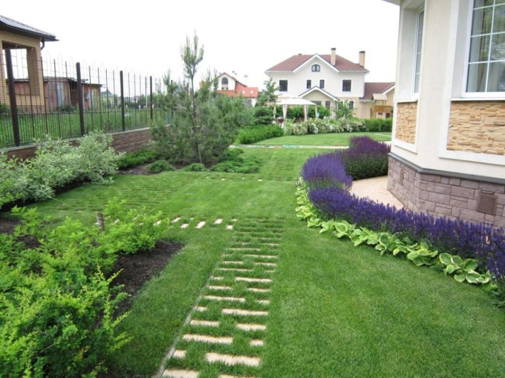 Клумба.jpg